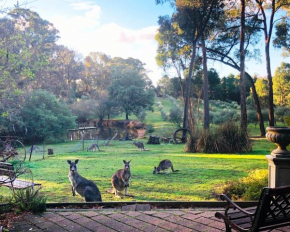 Гостиница Countryside Retreat Spa Cottage Hepburn - Daylesford  Хепберн Спрингз